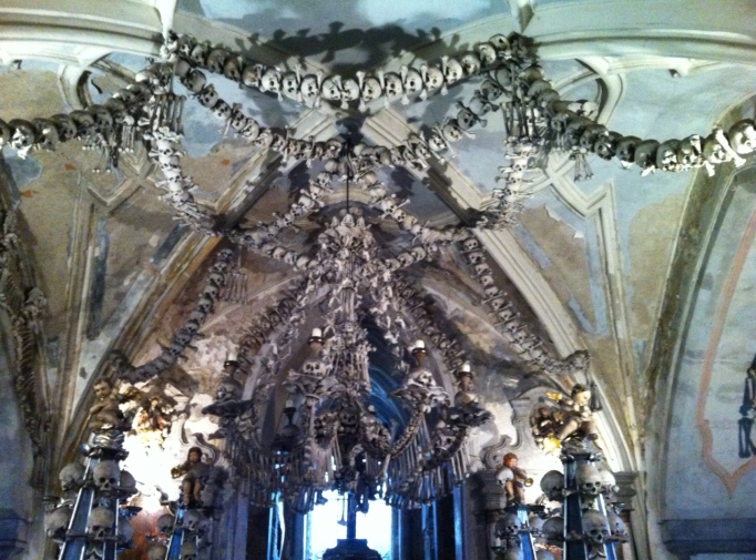 its not everyday you see a chandelier of skulls and bones
