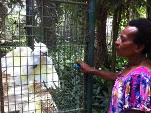 the cockatoo begs for a scratch from the meri