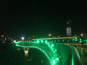 Nature Bridge by night